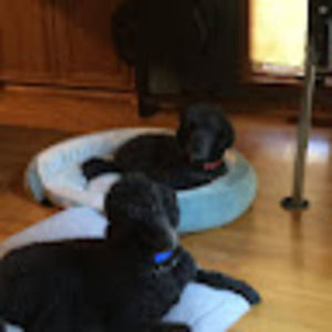 Meet your Posher, Isabel